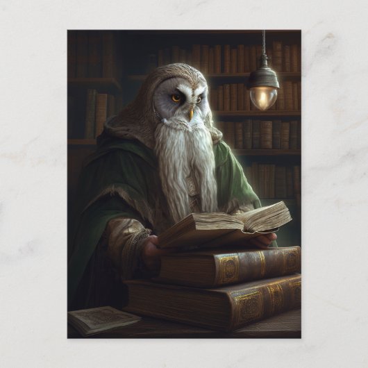 Owl Librarian Fantasy Art Briefkaart (Voorkant)