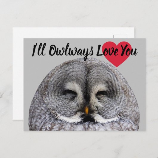 Owl Love Valentijn Briefkaart (Voorkant / Achterkant)