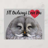 Owl Love Valentijn Briefkaart (Voorkant)