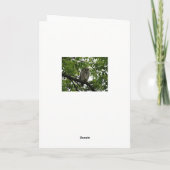 Owl Luv Kaart (Achterkant)