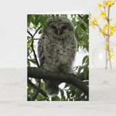 Owl Luv Kaart (Gele Bloem)