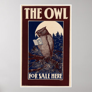  Owl Magazine Hoesje Poster