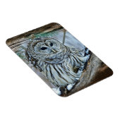 Owl Magneet (Rechterzijde)