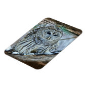 Owl Magneet (Linkerzijde)