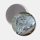 Owl Magneet (Voorkant / Achterkant)