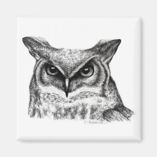 Owl Magneet