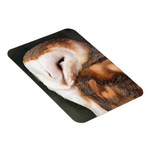OWL MAGNEET (Rechterzijde)