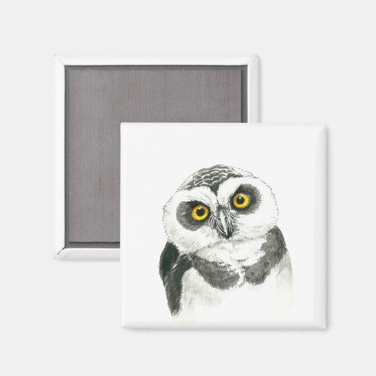 Owl Magneet (Voorkant / Achterkant)