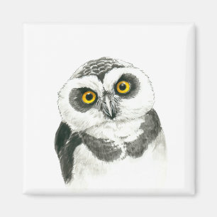 Owl Magneet