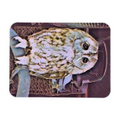 OWL MAGNEET (Horizontaal)