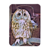 OWL MAGNEET (Verticaal)