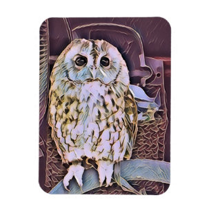 OWL MAGNEET