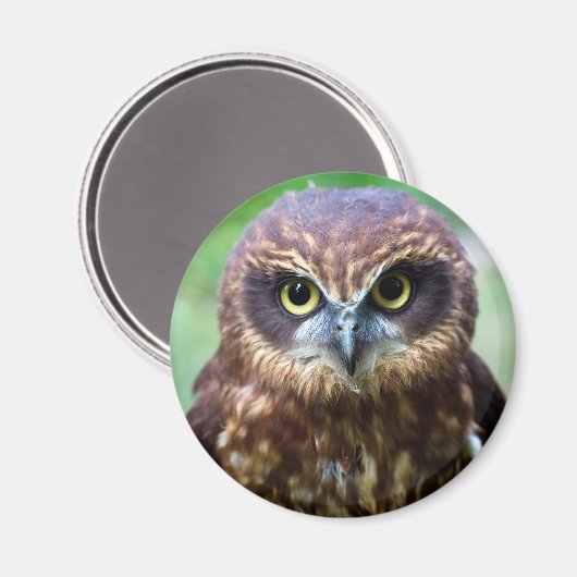 Owl Magnet (Voorkant / Achterkant)