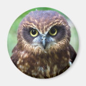 Owl Magnet (Voorkant)