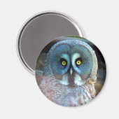 Owl Magnet (Voorkant / Achterkant)