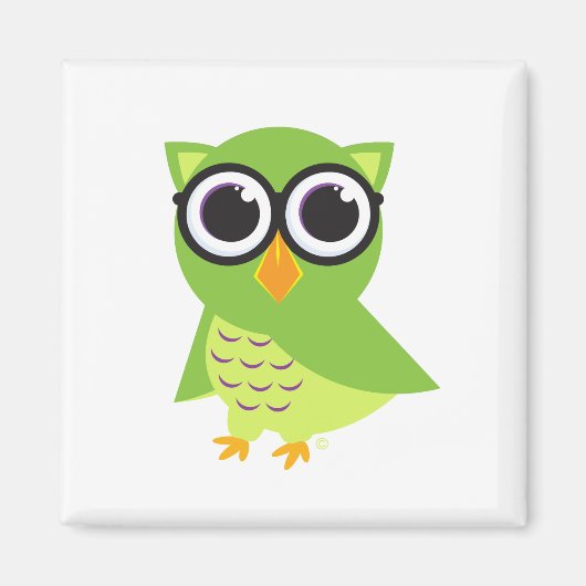 Owl Magnet (Voorkant)