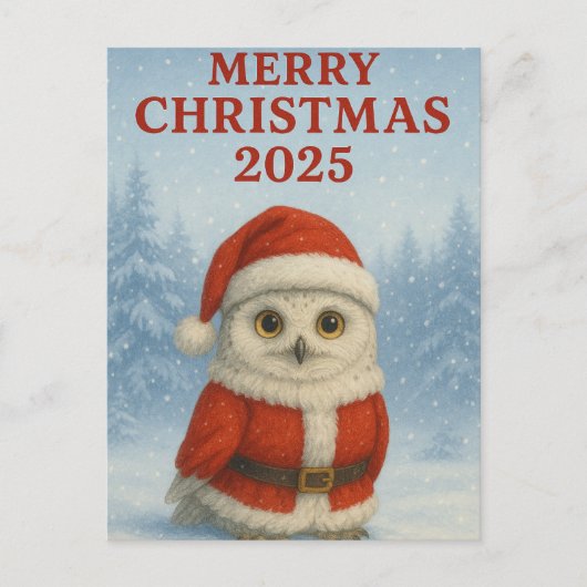 Owl Merry Christmas Briefkaart (Voorkant)