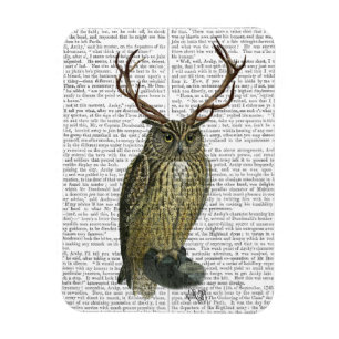 Owl met Antlers vlakte 2 Magneet