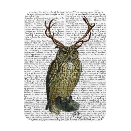 Owl met Antlers vlakte 2 Magneet (Verticaal)