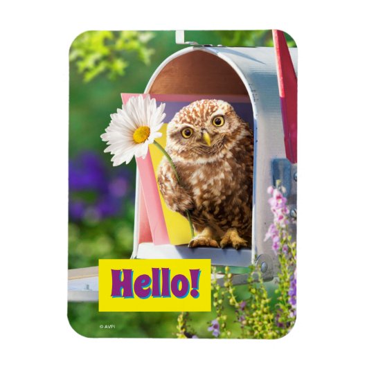 Owl met bloem in brievenbus magneet (Verticaal)