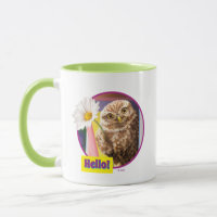 Owl met bloem in brievenbus