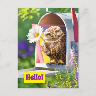 Owl met bloem in brievenbus uitnodiging briefkaart