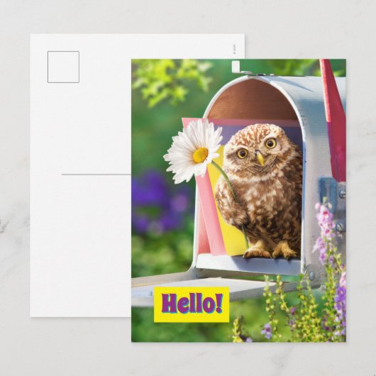 Owl met bloem in brievenbus uitnodiging briefkaart (Voorkant / Achterkant)