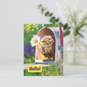 Owl met bloem in brievenbus uitnodiging briefkaart (Staand voorkant)