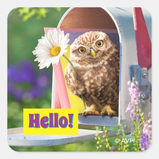 Owl met bloem in brievenbus vierkante sticker (Voorkant)