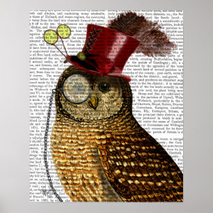 Owl met bovenste hak poster