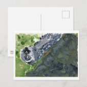 Owl met gemarmerd briefkaart (Voorkant / Achterkant)