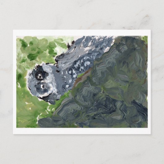 Owl met gemarmerd briefkaart (Voorkant)