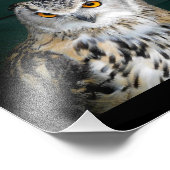 Owl met hoogte foto afdruk (Hoek)