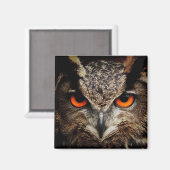 Owl met Oranje kleur voor ogen Magneet (Voorkant / Achterkant)