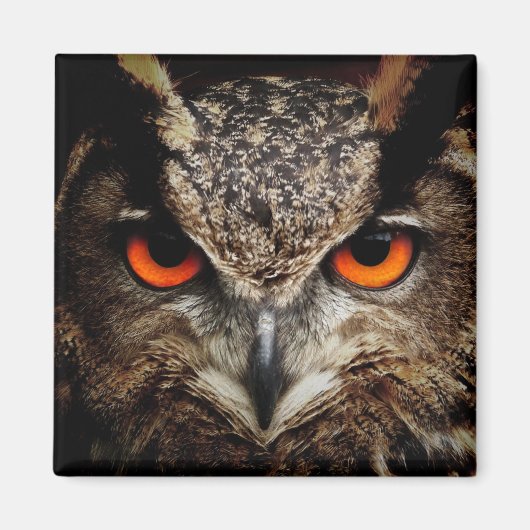 Owl met Oranje kleur voor ogen Magneet (Voorkant)