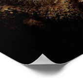 Owl met Oranje kleur voor ogen Poster (Hoek)