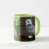 OWL MOK (Voorkant rechts)