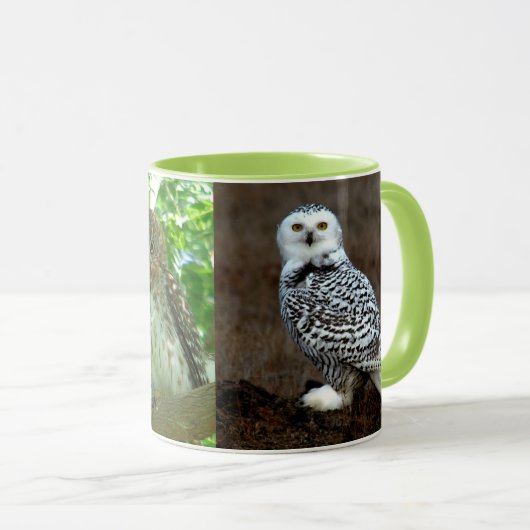 OWL MOK (Voorkant rechts)