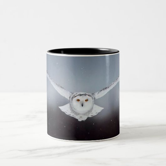 OWL-MOK TWEEKLEURIGE KOFFIEMOK (Center)
