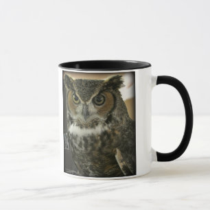Owl Mok Two-Afbeelding Sjabloon