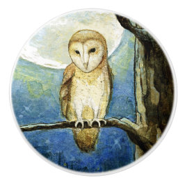 "Owl Moon" keramische knop