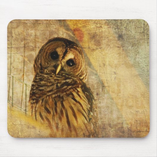Owl Mousepad - Barred Owl Muismat (Voorkant)