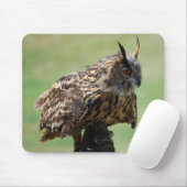 Owl Mousepad Muismat (Met muis)