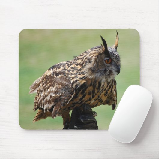 Owl Mousepad Muismat (Met muis)
