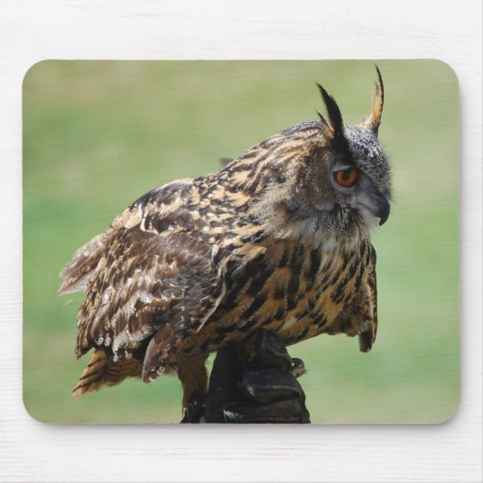 Owl Mousepad Muismat (Voorkant)