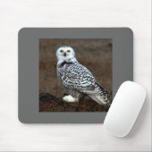 Owl Muismat (Met muis)