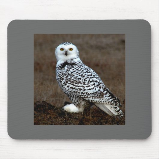 Owl Muismat (Voorkant)