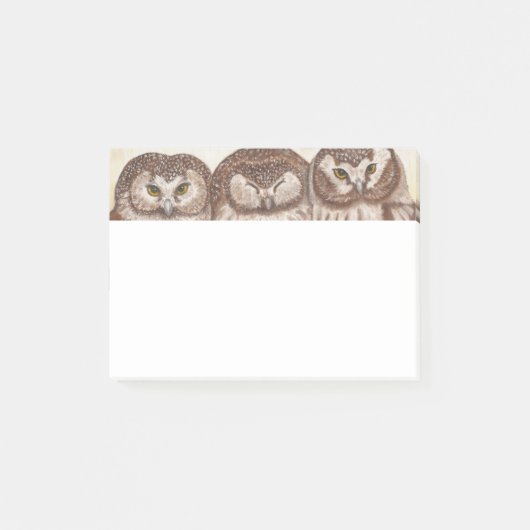 Owl na notitiepad post-it® notes (Voorkant)