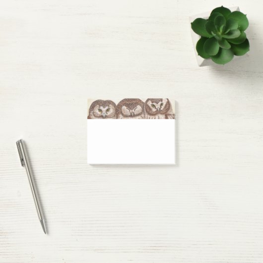 Owl na notitiepad post-it® notes (Kantoor)