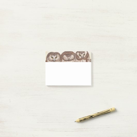Owl na notitiepad post-it® notes (Op bureau)